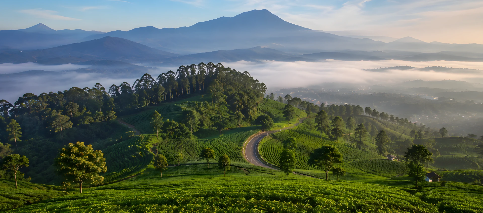 Denio Outbound Indonesia - Lembang, Bandung, Jawa Barat