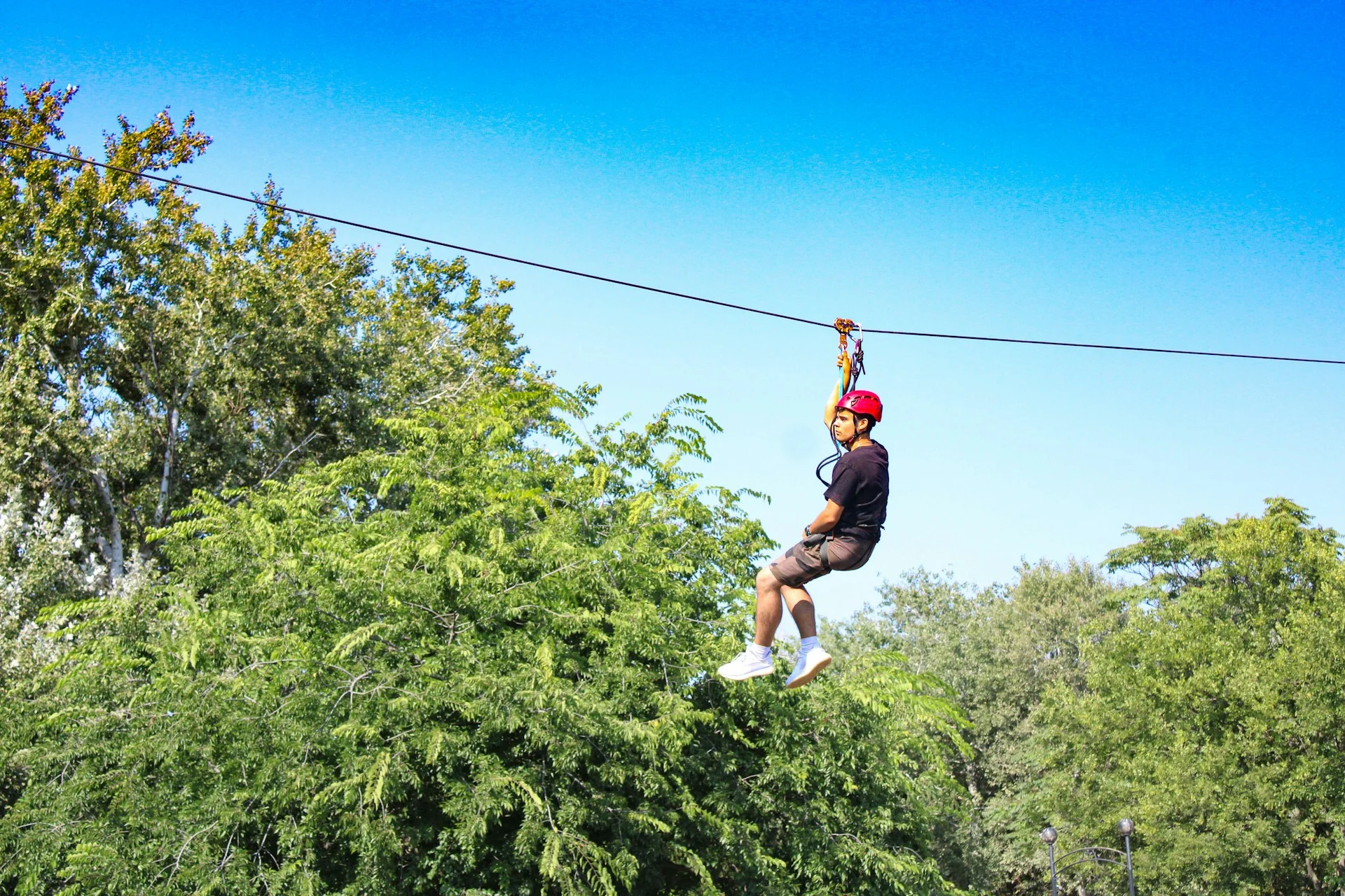 Aktivitas zipline di antara pepohonan