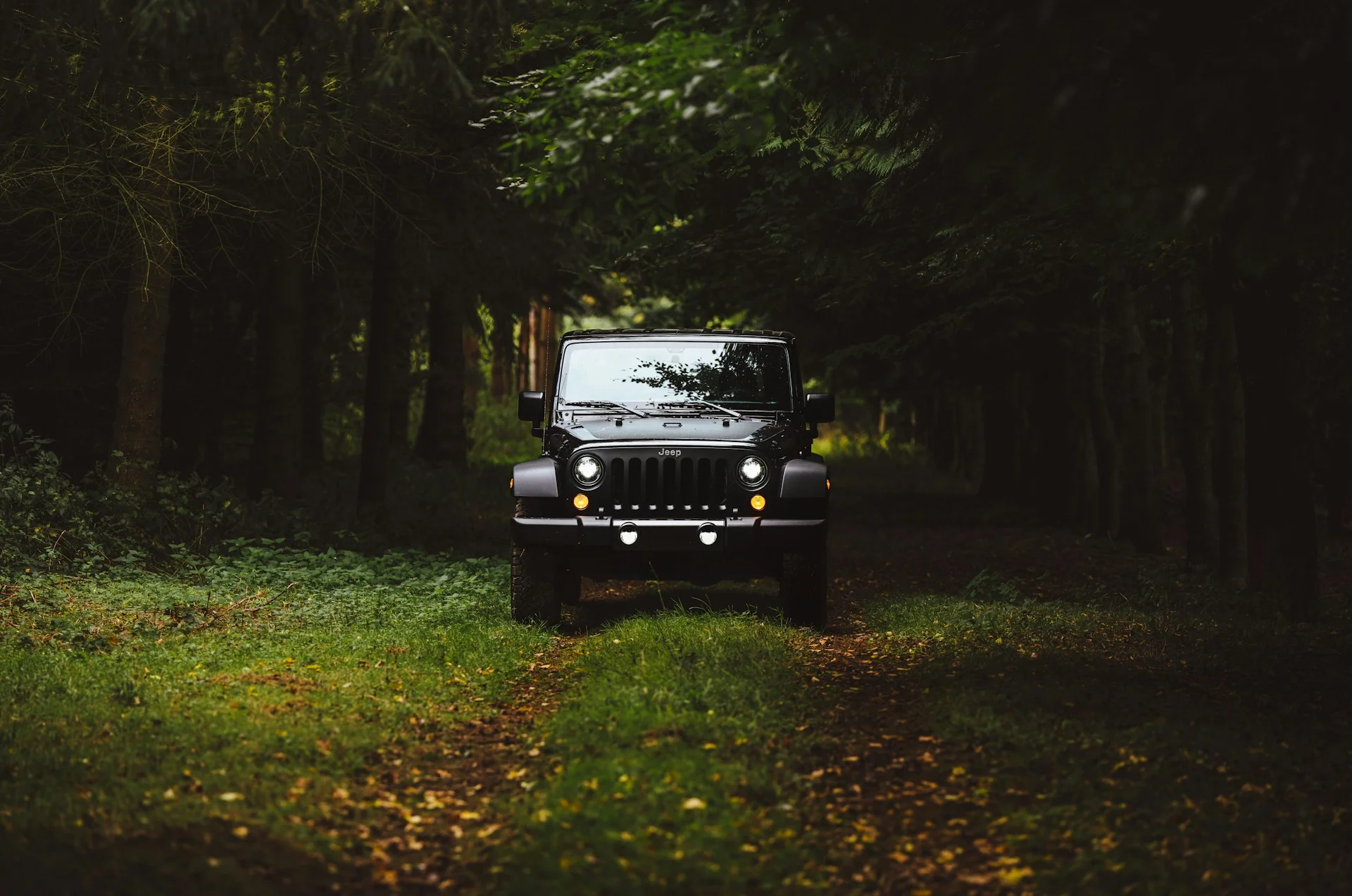 Jeep di jalur hutan untuk ilustrasi offroad