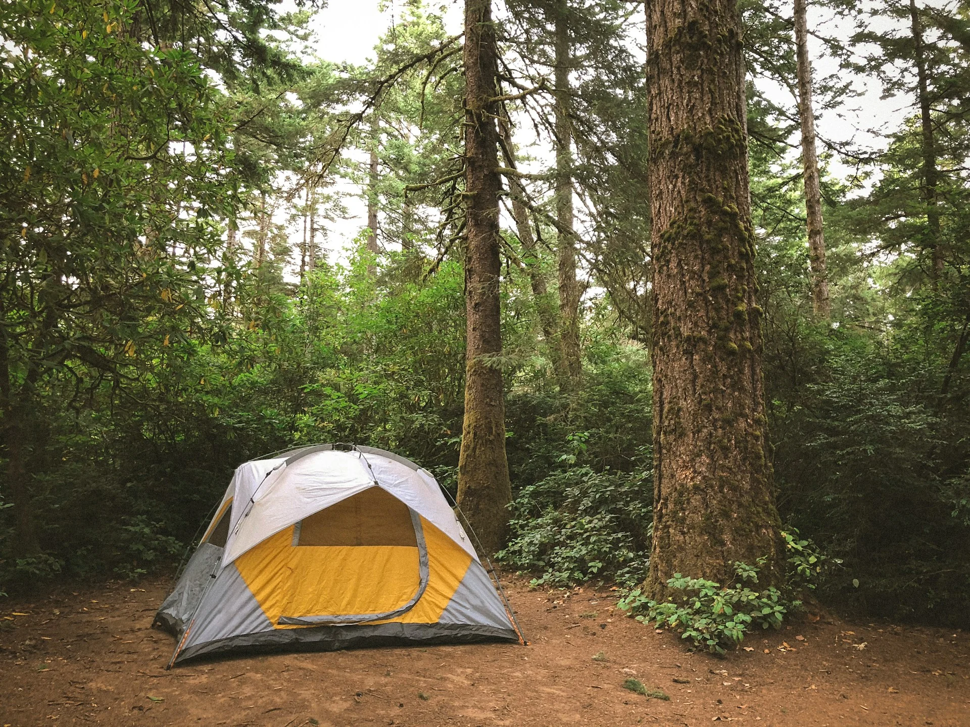 Tenda dan perlengkapan berkemah di hutan
