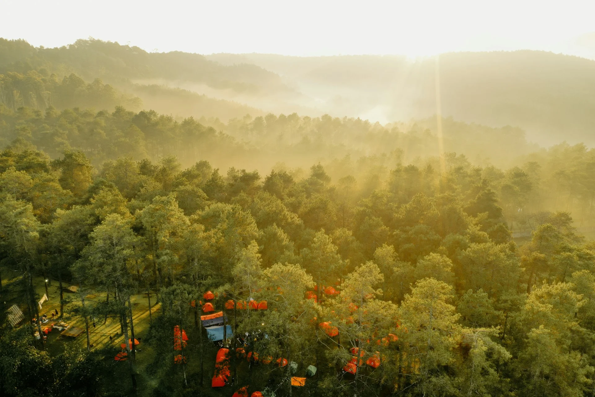Suasana kawasan wisata di tengah hutan