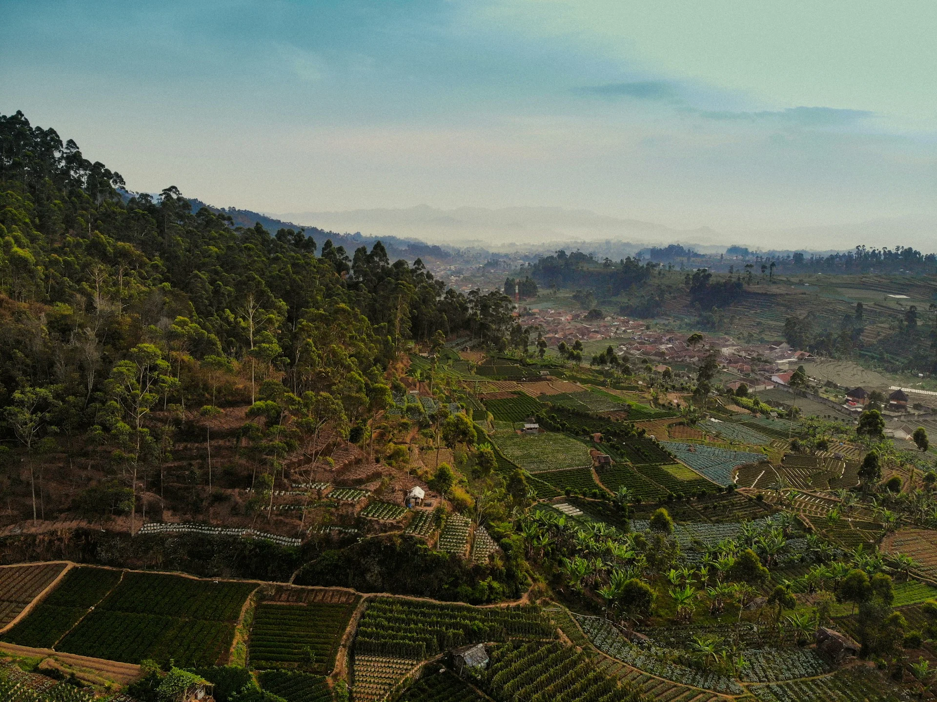 Lanskap perbukitan dan kebun untuk inspirasi wisata alam