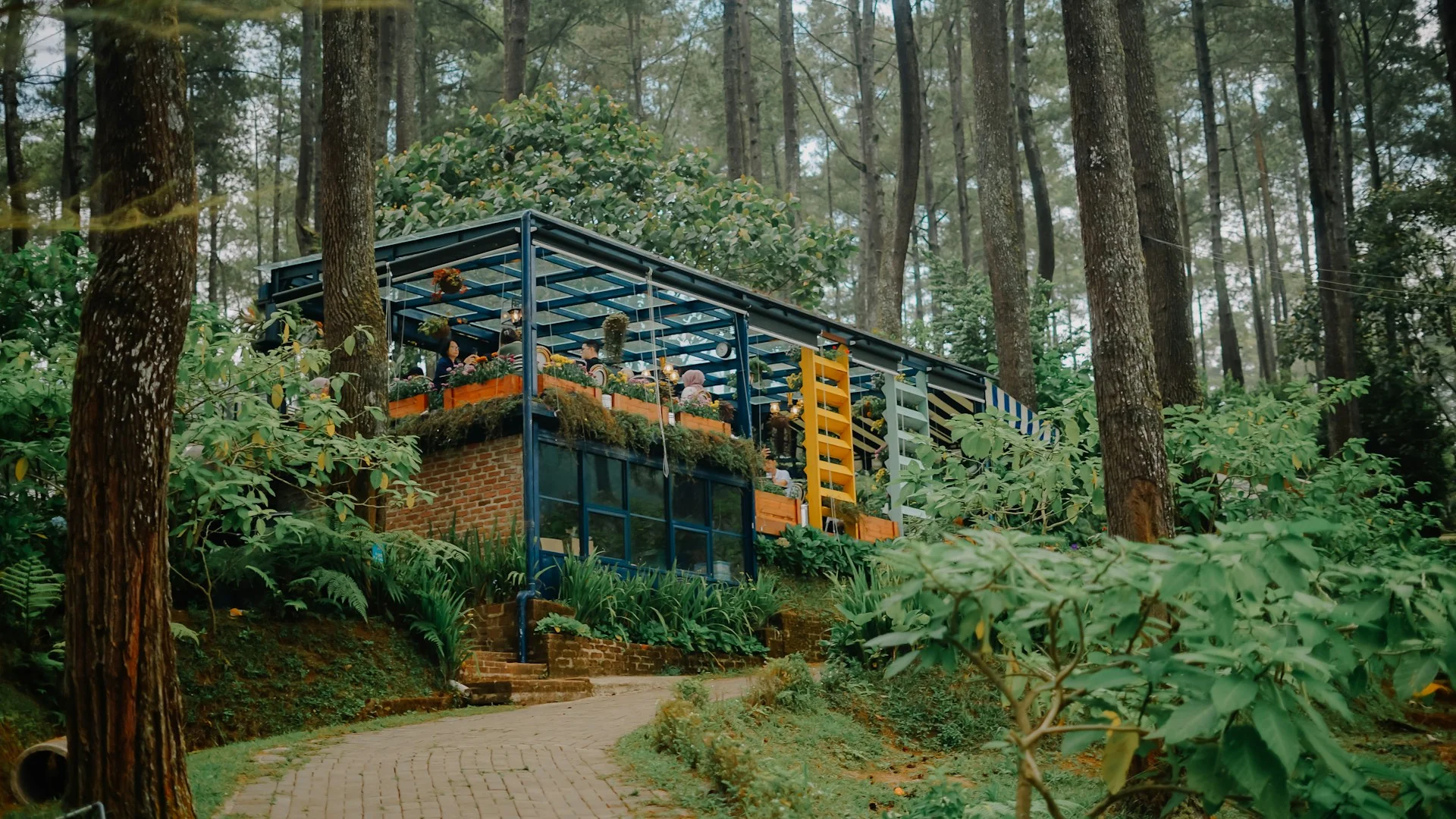Bangunan kafe di antara pepohonan pinus di Orchid Forest Cikole, Bandung Barat